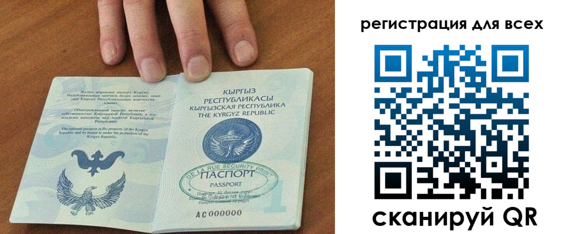 прописка для школы в Данилове
